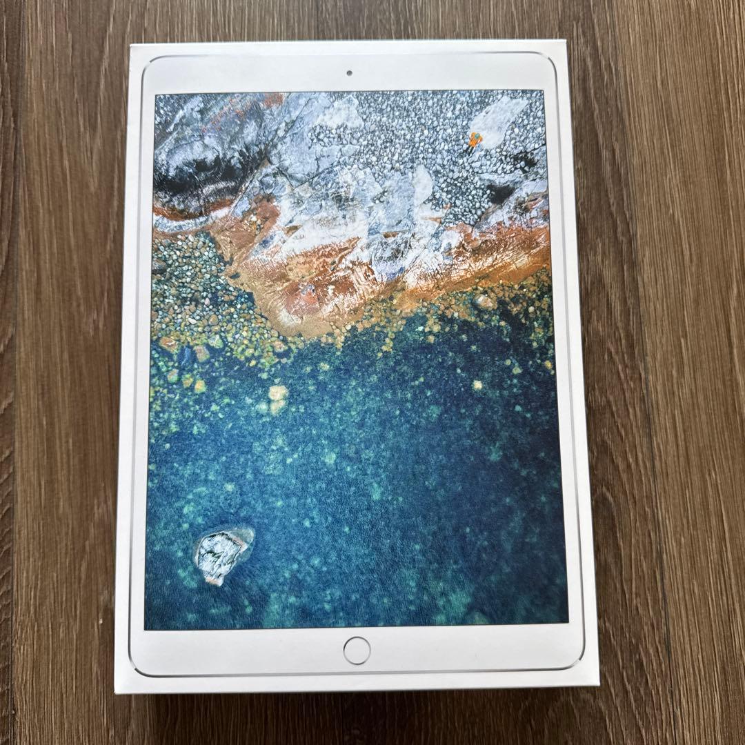 Apple iPad Pro 10.5インチ シルバー 本体 ジャンク