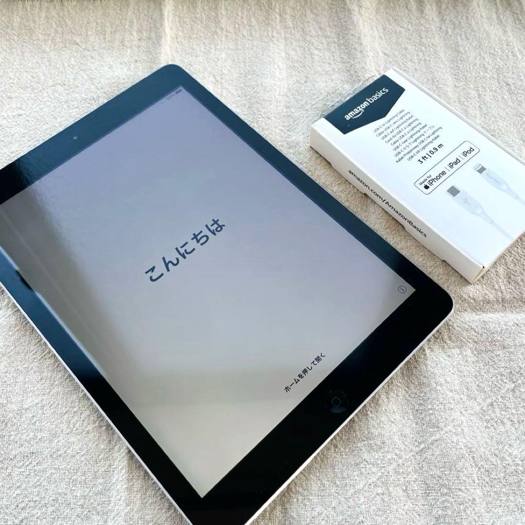 Apple iPad Air 第一世代 シルバー 本体 + ケーブル