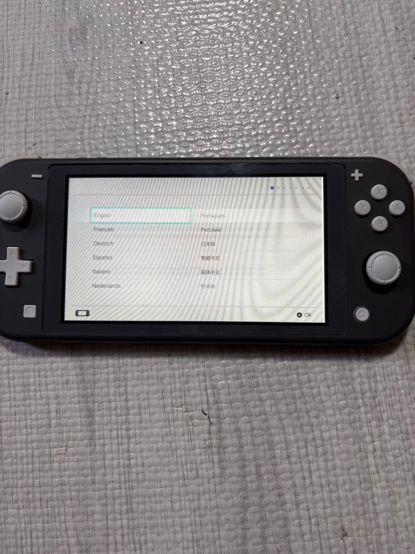 Switch Lite 本体のみ 動作確認済み 液晶不良あり