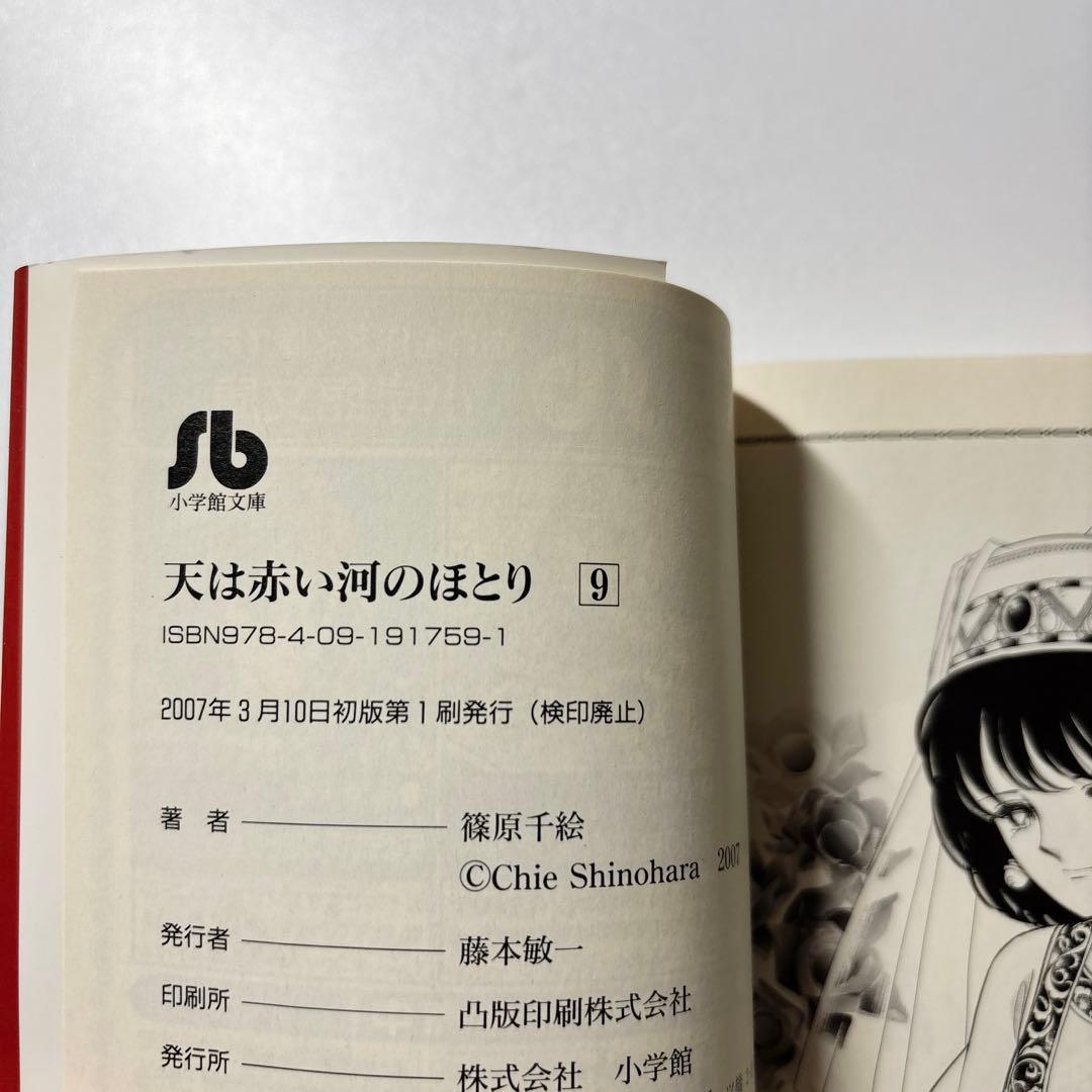 最終値下げ‼︎【初版】天は赤い河のほとり　全巻　16巻　文庫版　外伝