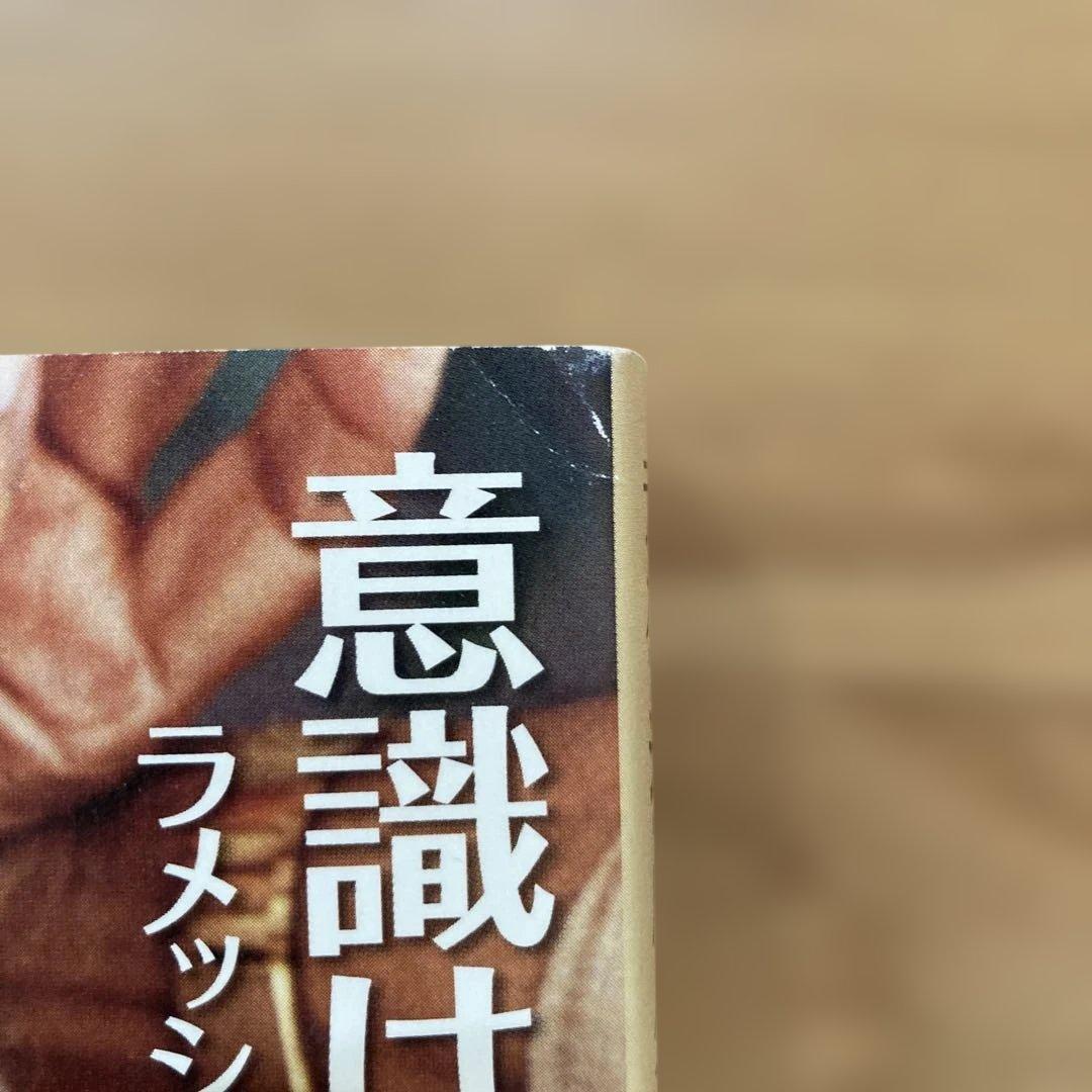 意識は語る ラメッシ・バルセカールとの対話