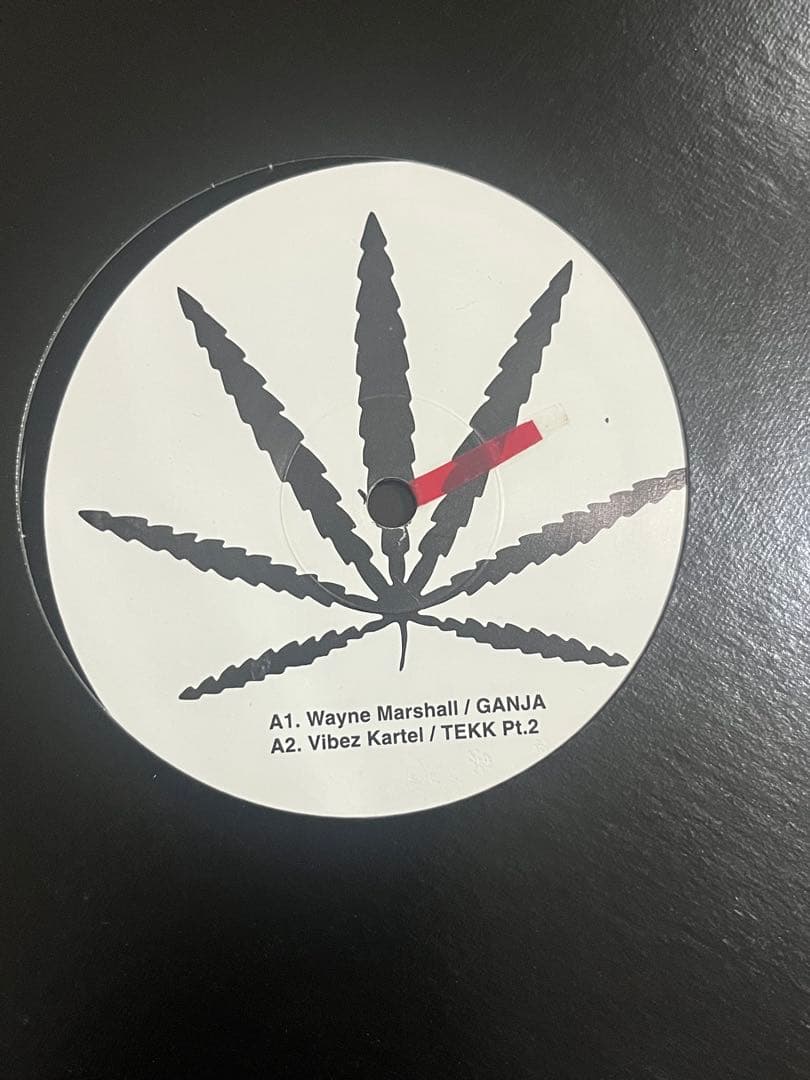 レゲエ ソカ レコード10枚まとめ売りセット LP2枚あります