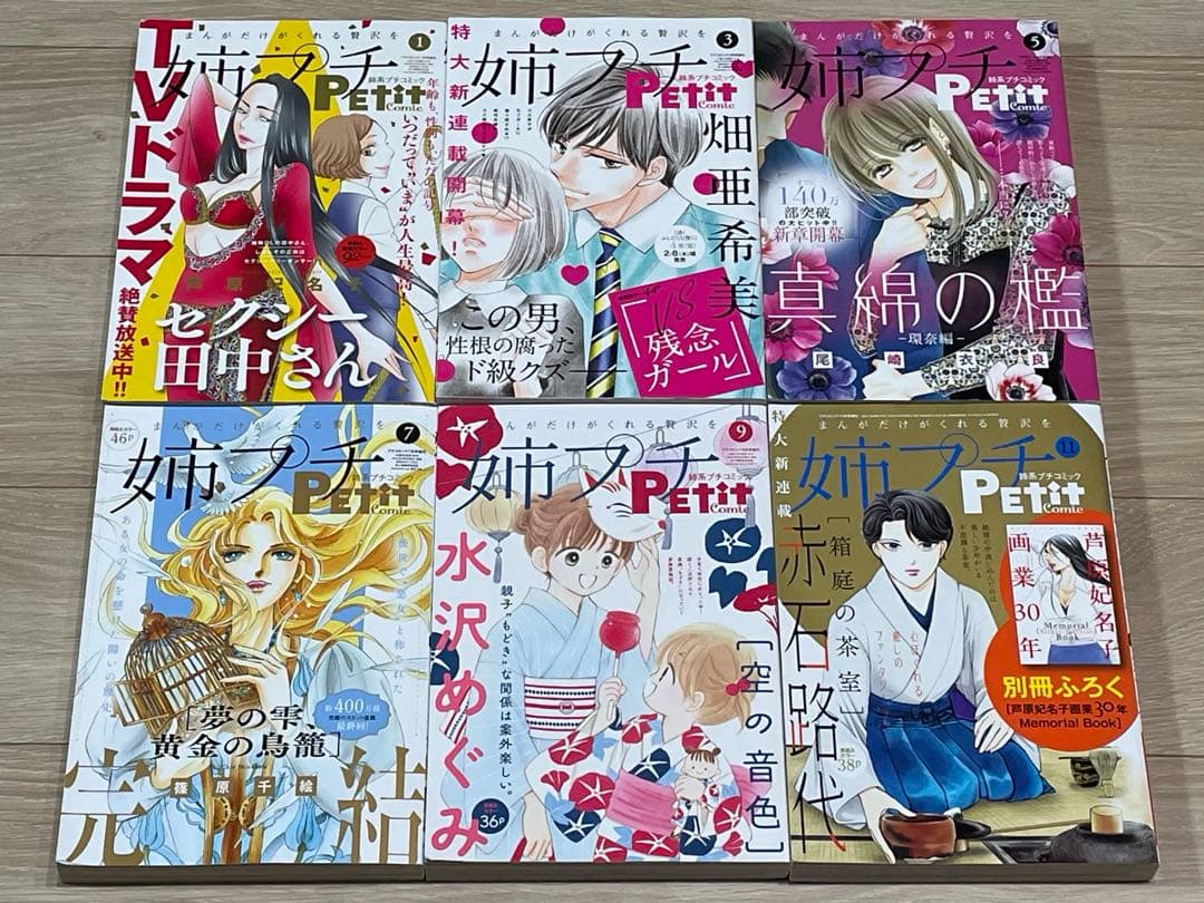 姉系プチコミック 2024年1・3・5・7・9・11月号増刊