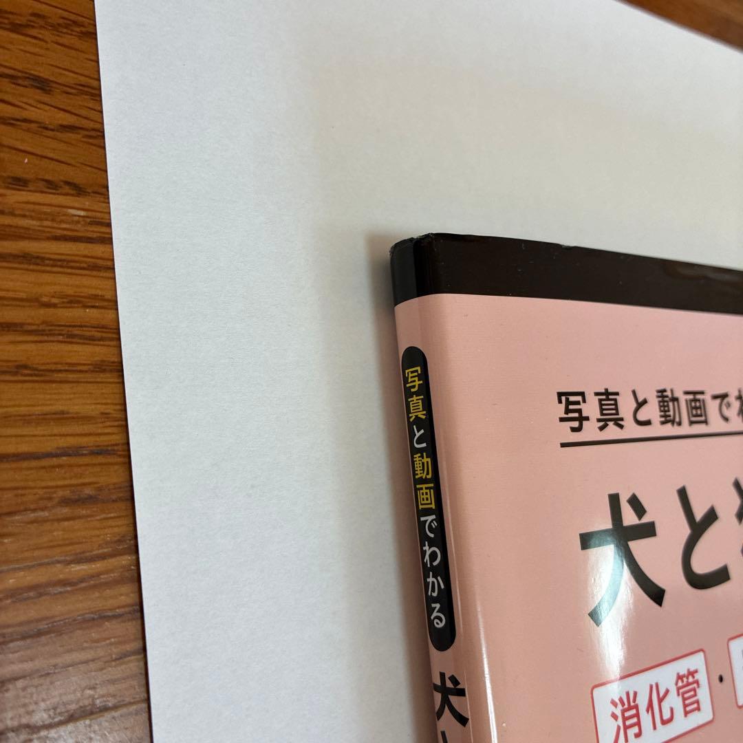 犬と猫の内視鏡