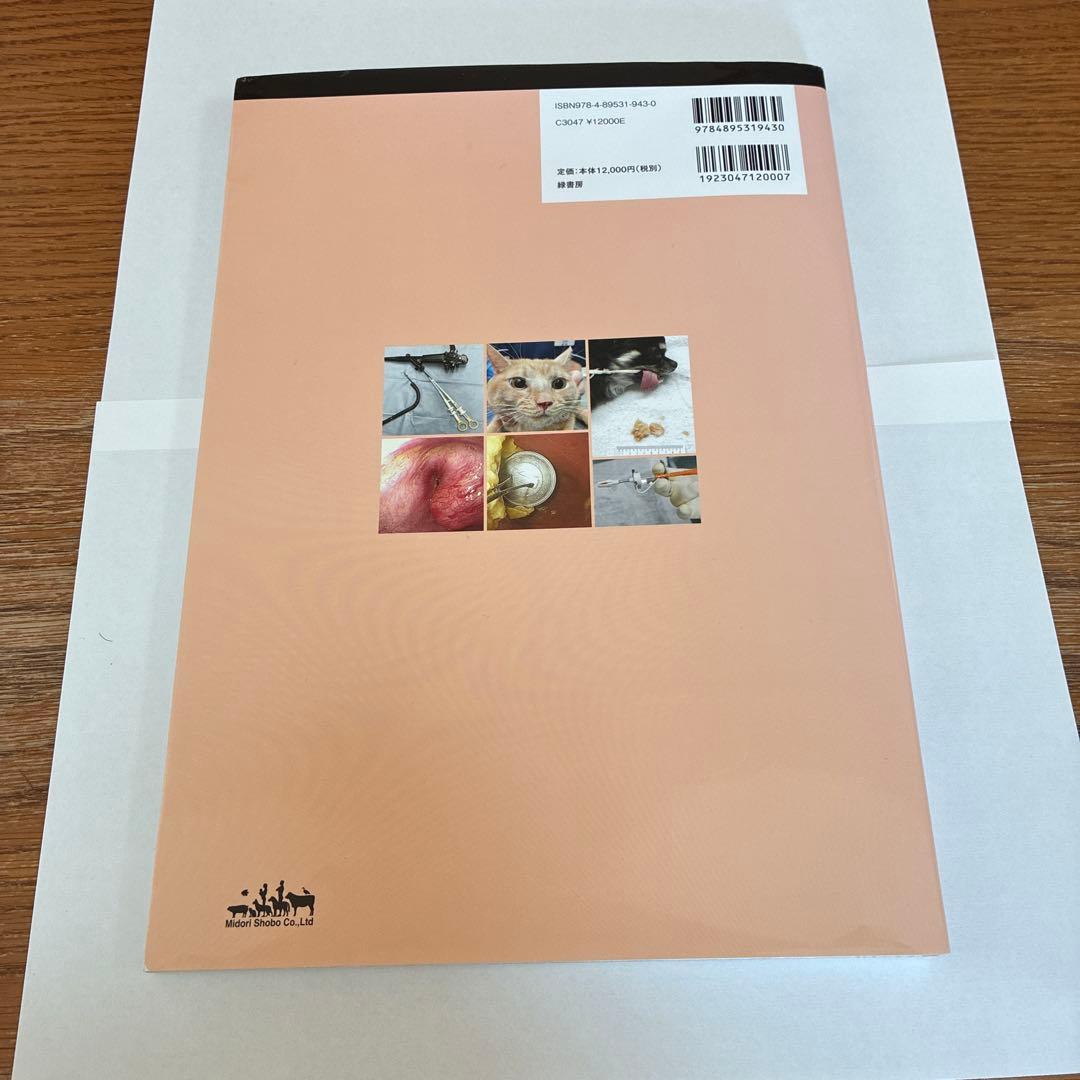 犬と猫の内視鏡