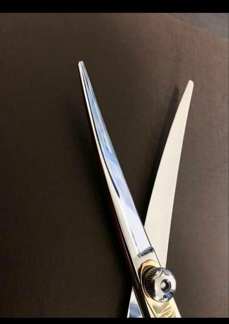 美容師 高級 VALSアールシザー バルス 6インチ カットシザー