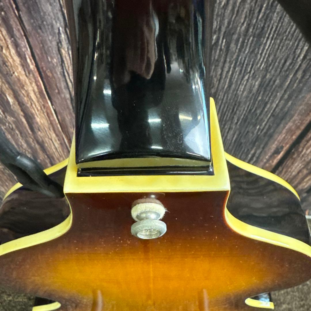 Epiphone VIOLA BASS エピフォン ビオラベース