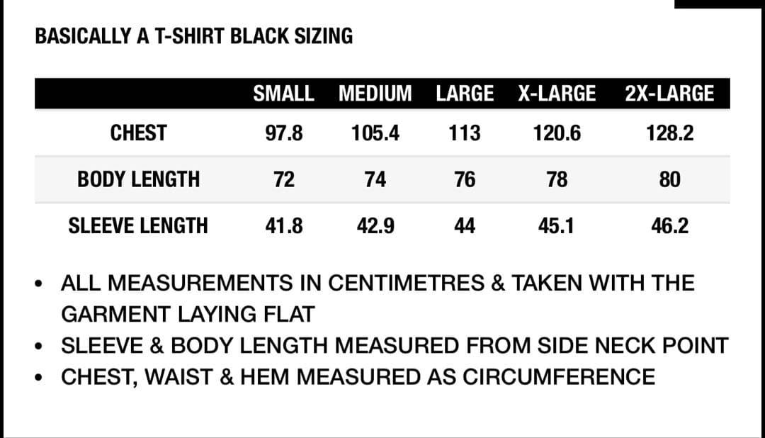 PALACE パレス BASICALLY A T-SHIRT BLACK L