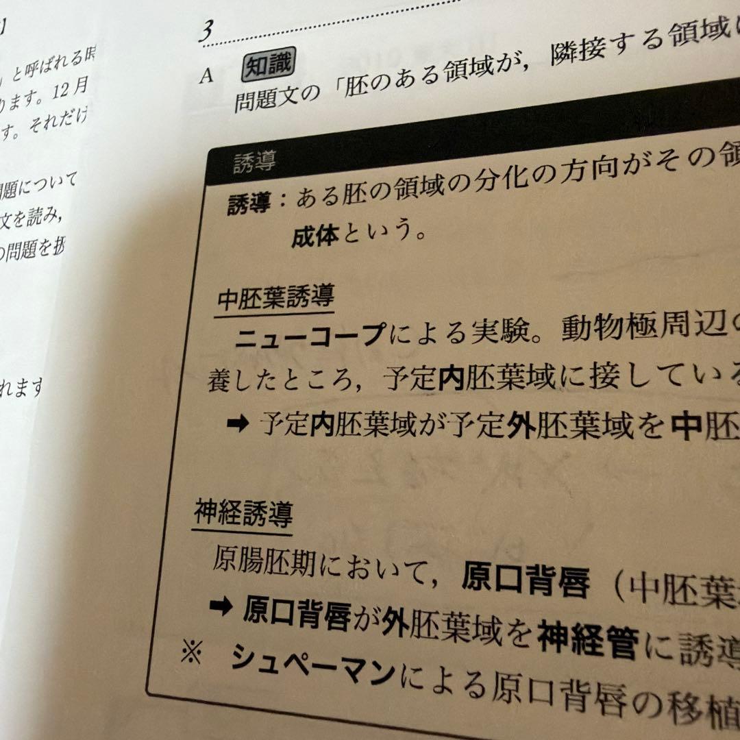鉄緑会　東大生物 直前講習　問題集、解答解説冊子　4日分セット