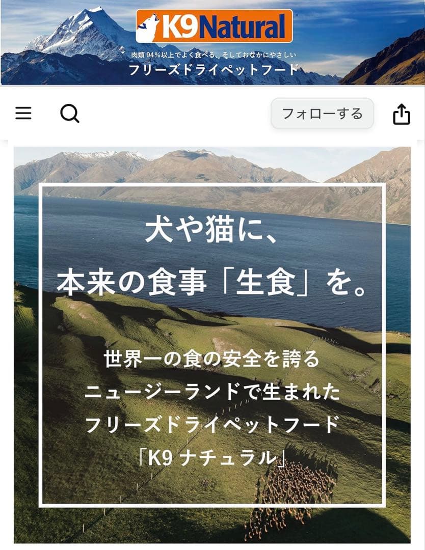 じゅ！K9ナチュラル ビーフ＆ホキ(白身魚)➕キングサーモン