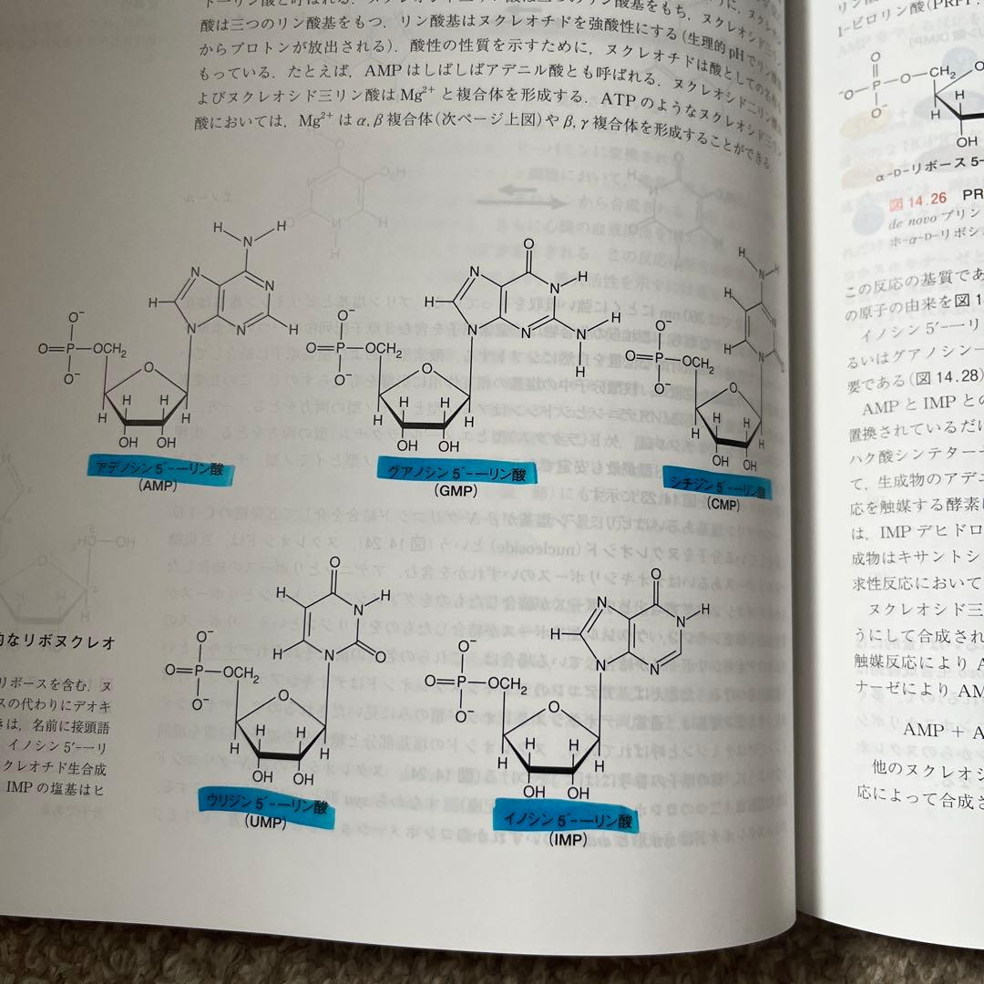マッキー生化学 第6版