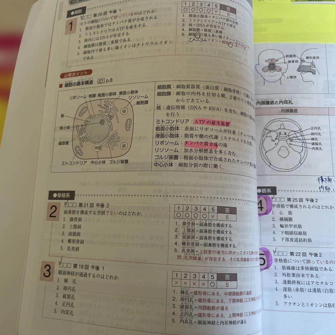 言語聴覚士国家試験 2026 ST 専門・基礎科目
