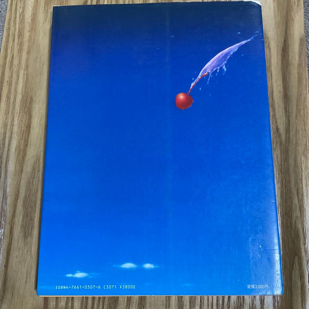 美品　ザ・リアル・イラストレーション1984年発行