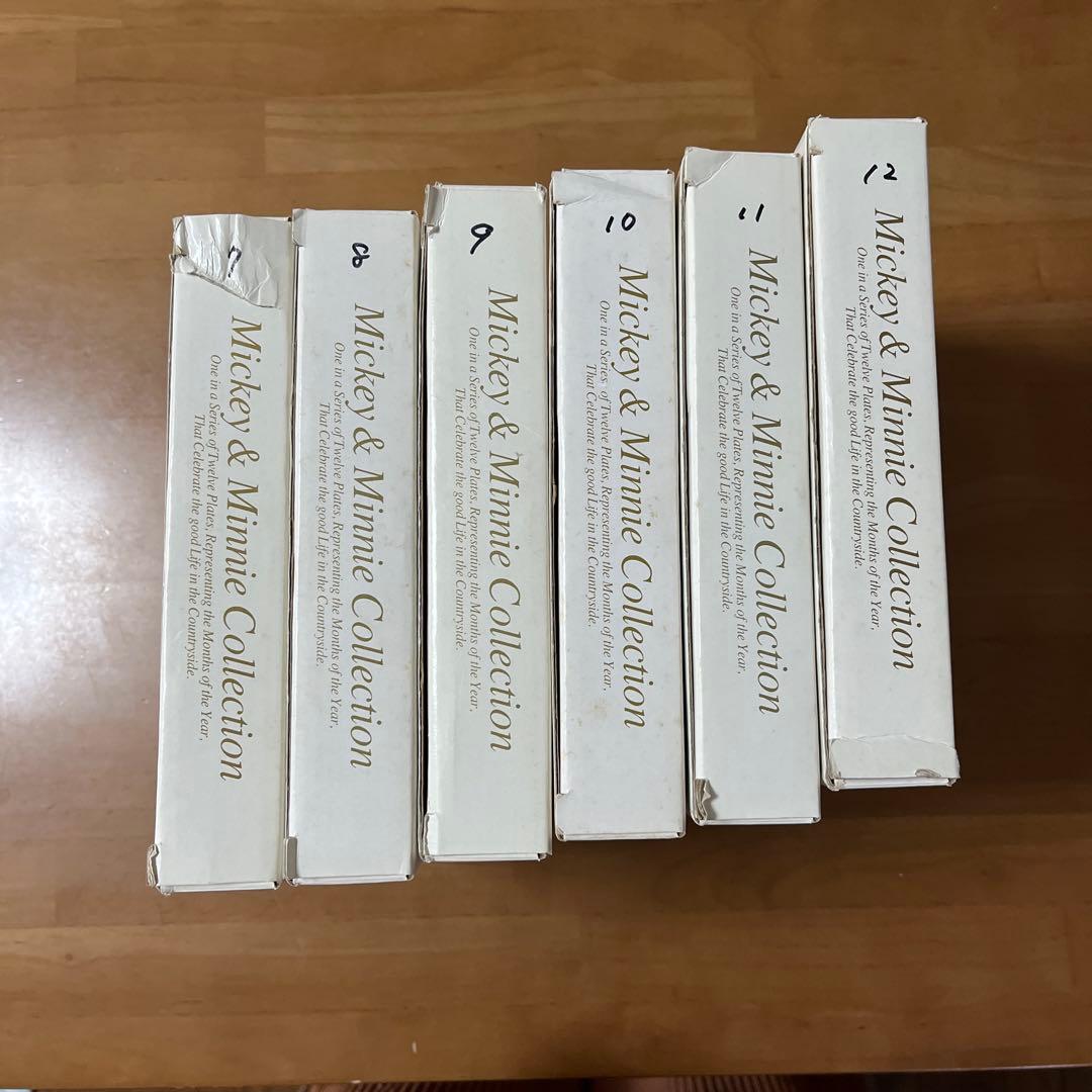 ミッキー＆ミニーコレクション 皿セット12ヶ月