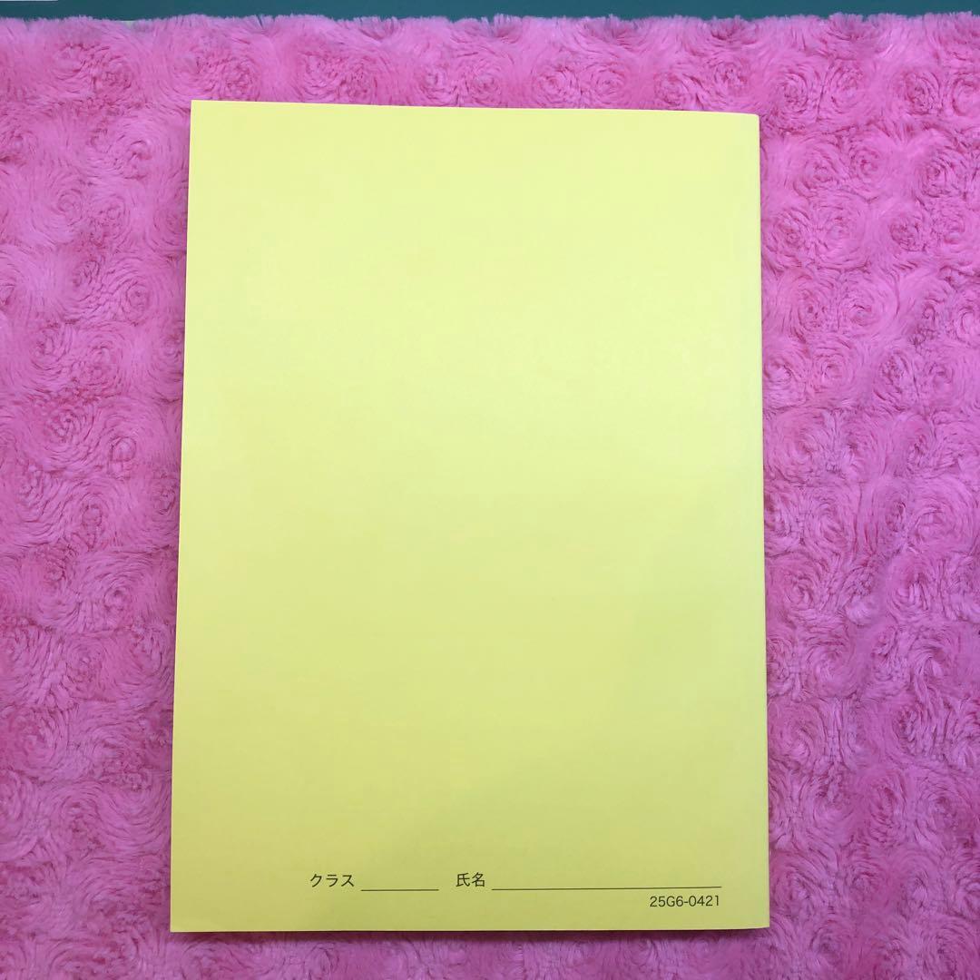 鉄緑会　2025年　最新　化学発展講座 問題集 新品未使用　オマケ2点付き