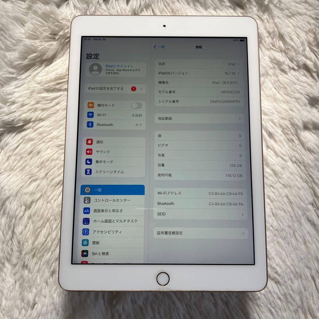 【早い者勝ち】iPad 第5世代 128GB 【すぐ発送】【付属品】