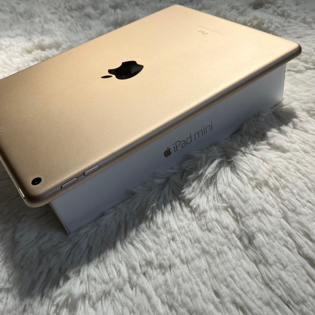 【早い者勝ち】iPad 第5世代 128GB 【すぐ発送】【付属品】
