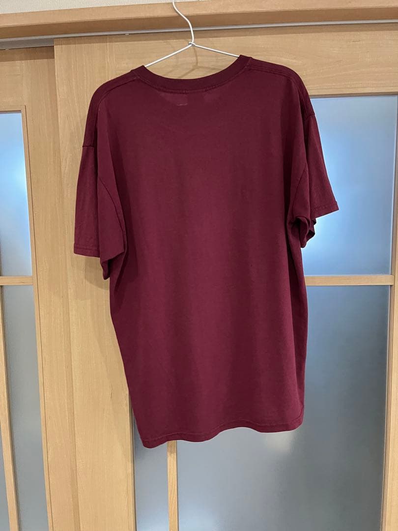 ハーゲンダッツ　Tシャツ　ヴィンテージ