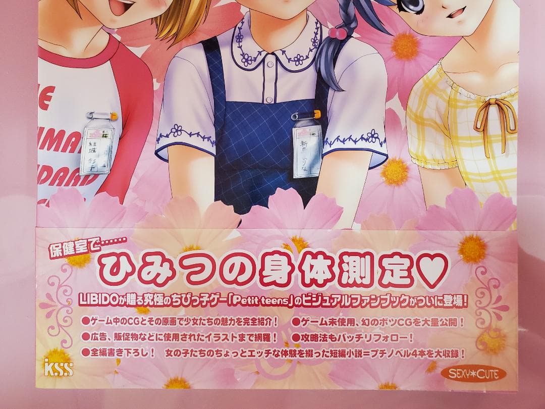 プチティーンズ　CG&原画集