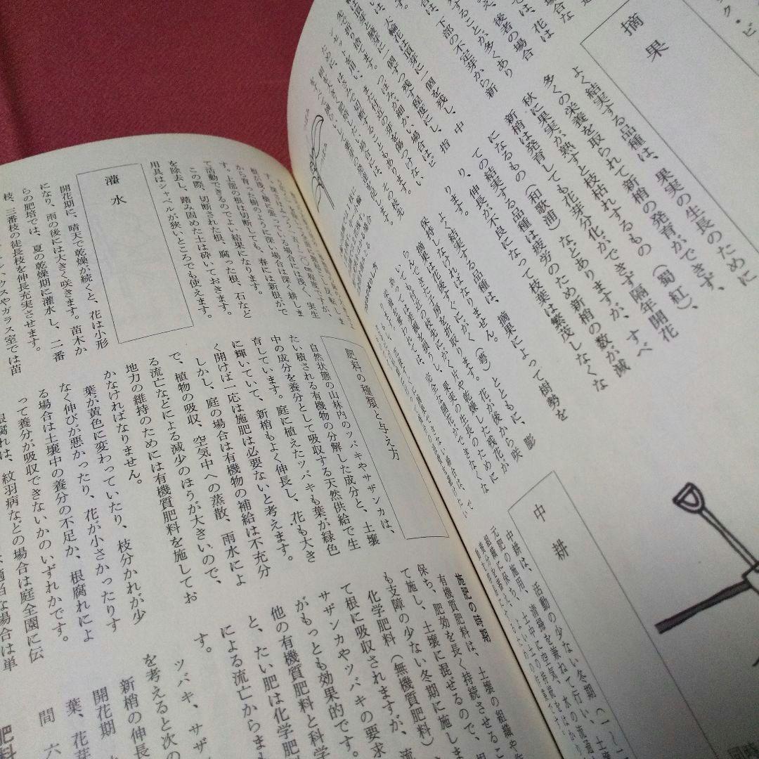 『ガーデンシリーズ ツバキとサザンカ その魅力と栽培』 第１版 誠文堂新光社