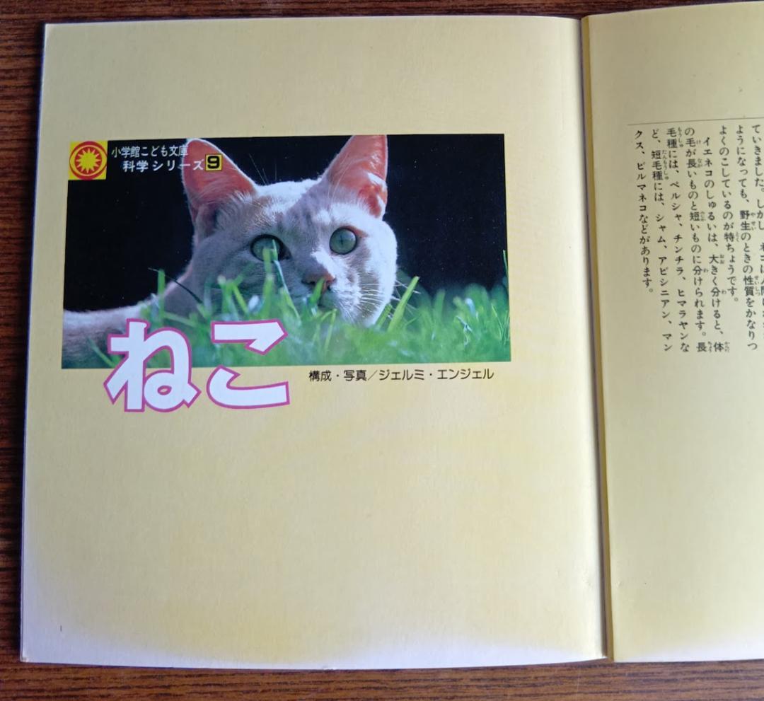 ねこ 小学館こども文庫　科学シリーズ　⑨ (1982年)