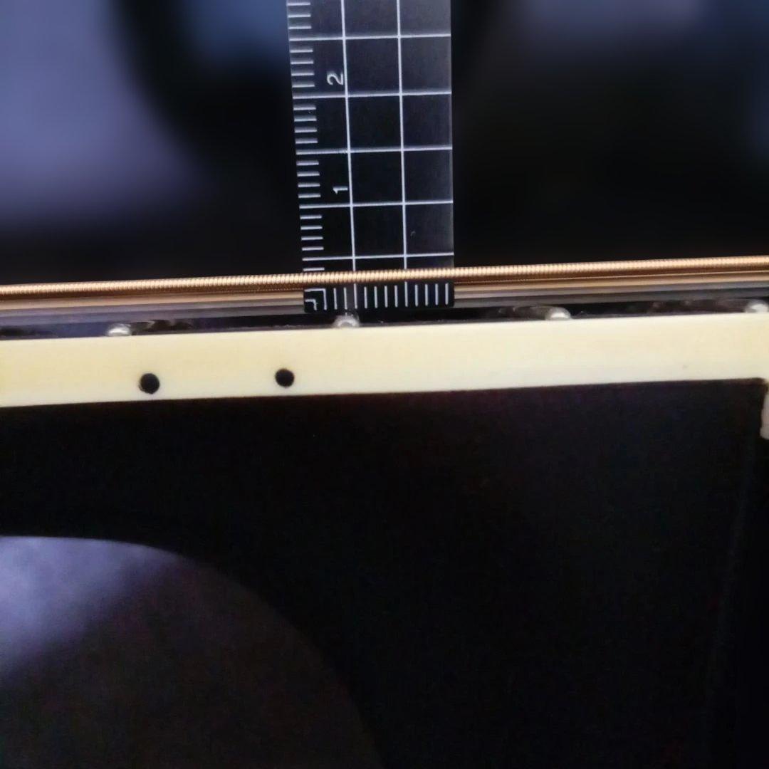 ソルディン アコースティックギター SFG−15 NAS アコギソフトケース付き