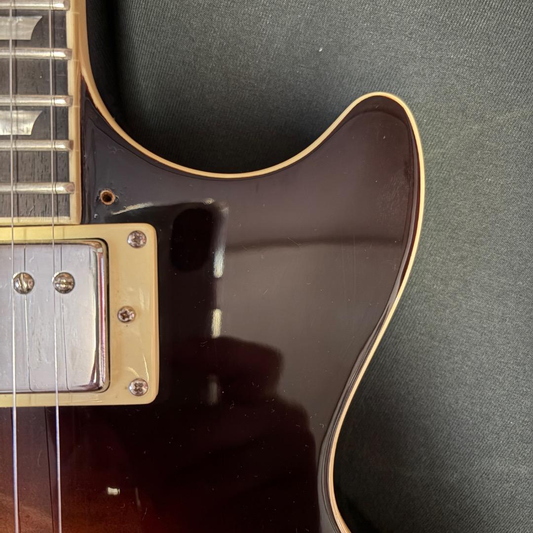 Epiphone Les Paul Standard PU57系 HC付