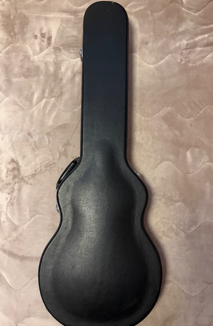 Epiphone Les Paul Standard PU57系 HC付