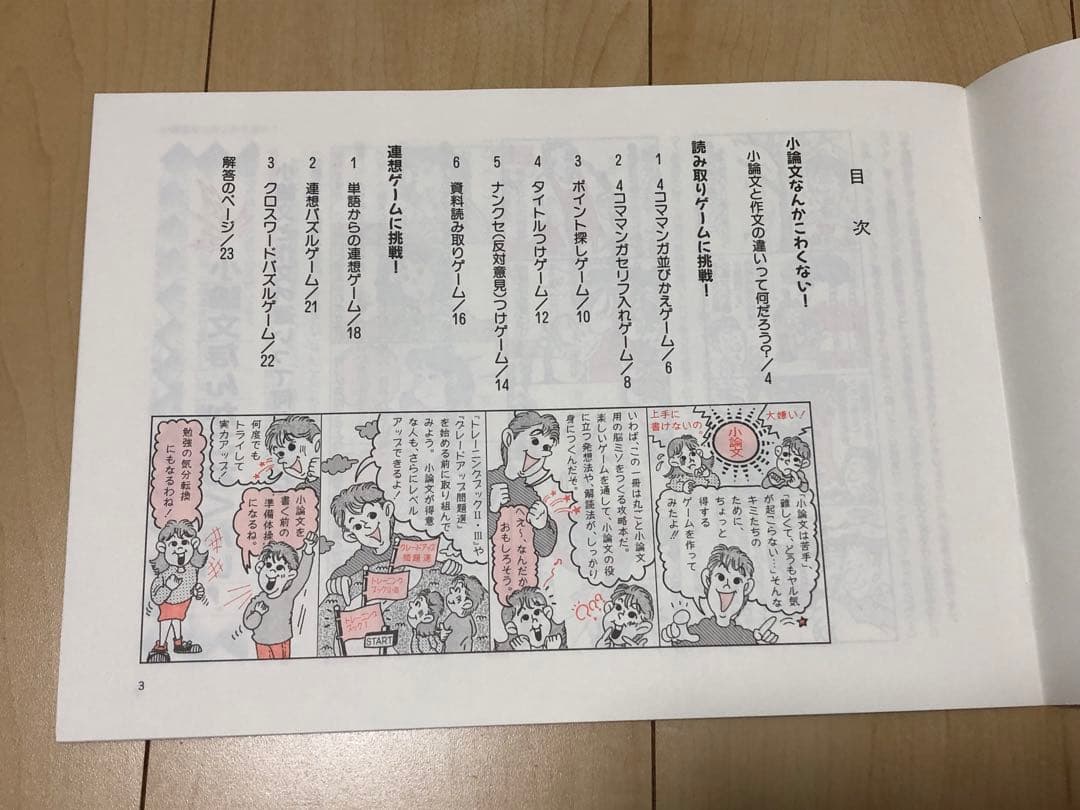 VHS大学入試対策セミナー　小論文　セット♢旺文社♢h42w52