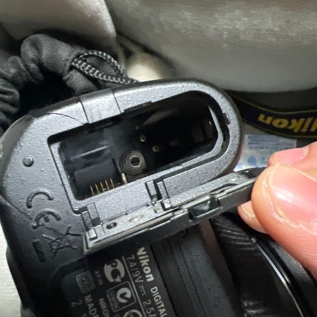 Nikon D3100 ニコン