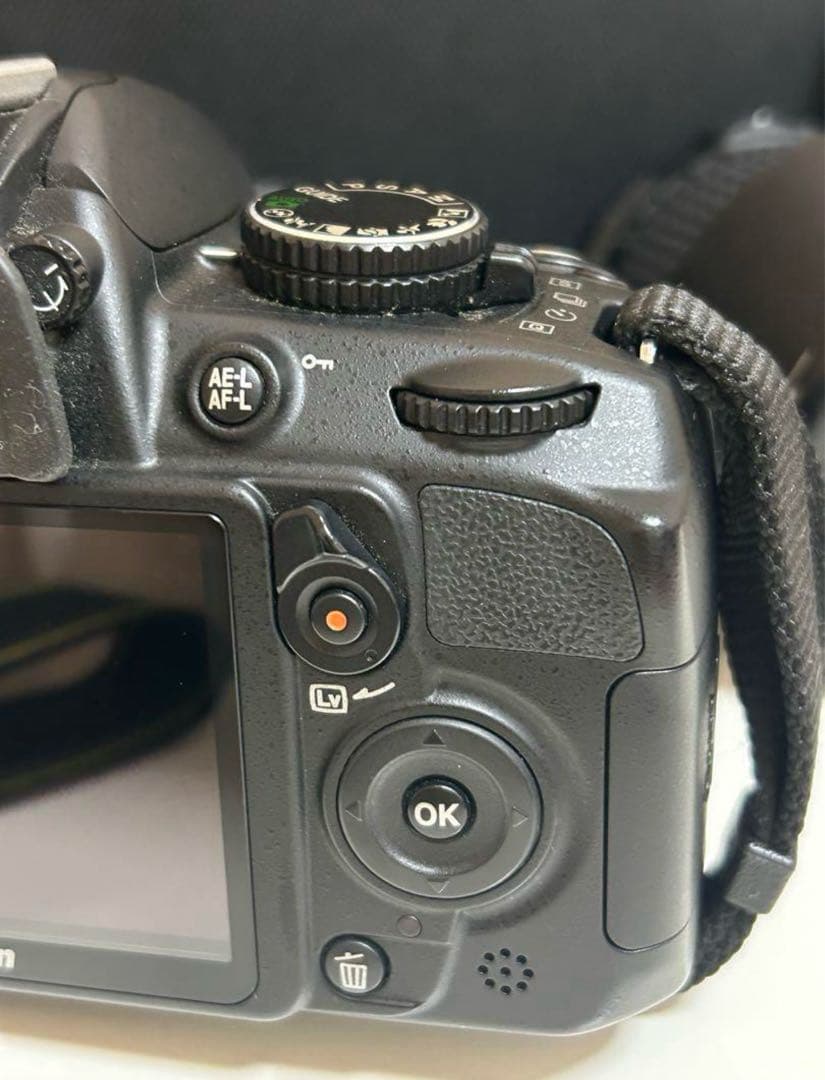 Nikon D3100 ニコン