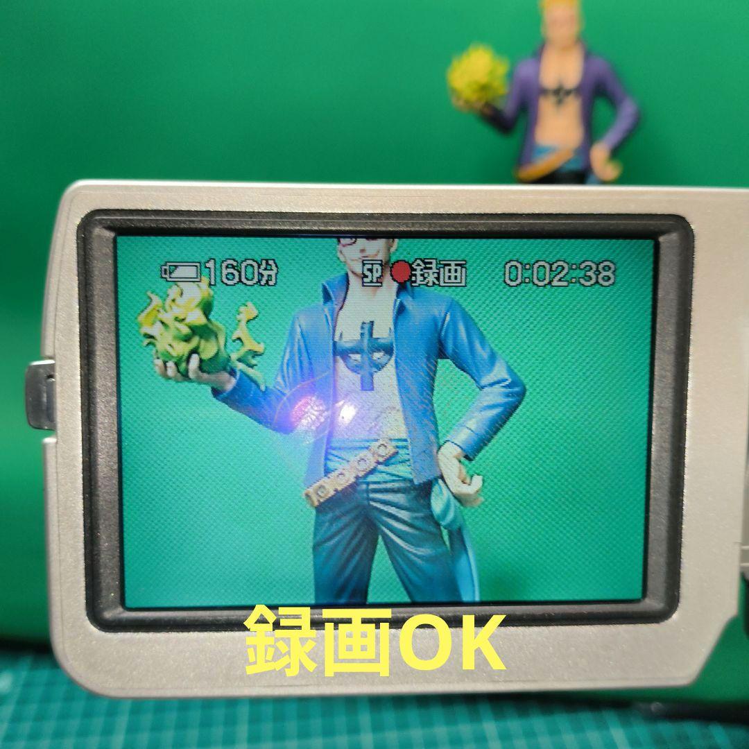 【動作確認済】SONY ソニー DCR-TRV20 ナイトショットOK