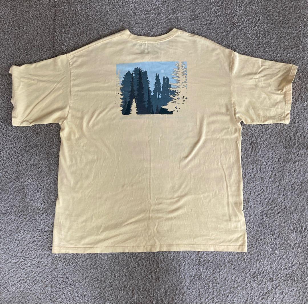 パタゴニア beneficial t's Liberty Graphics XL
