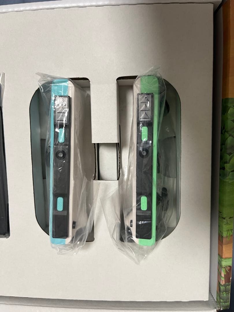 付属品未使用NintendoSwitch あつまれどうぶつの森セット ソフト付き