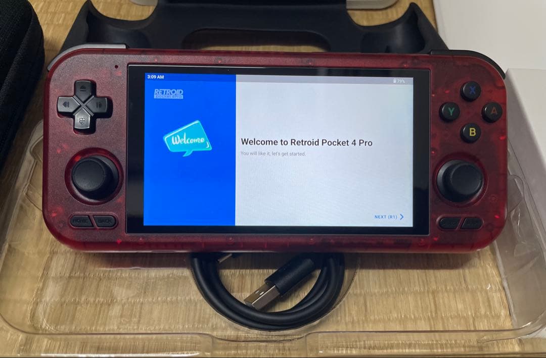 Retroid Pocket 4 Pro Watermelon 純正アクセ付