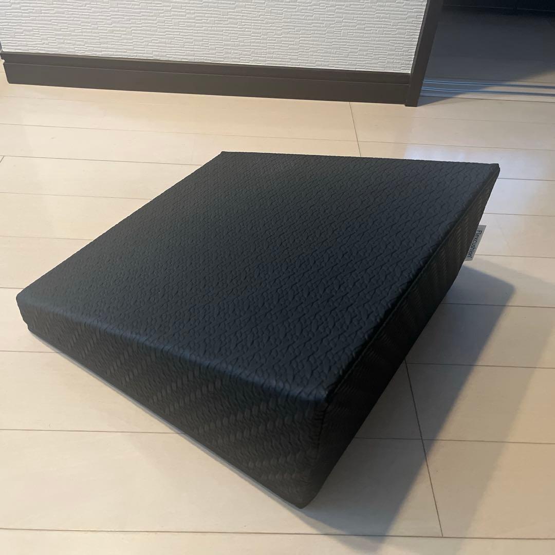 SANTEPLUS　サンテプラス フレックスクッション ブラック
