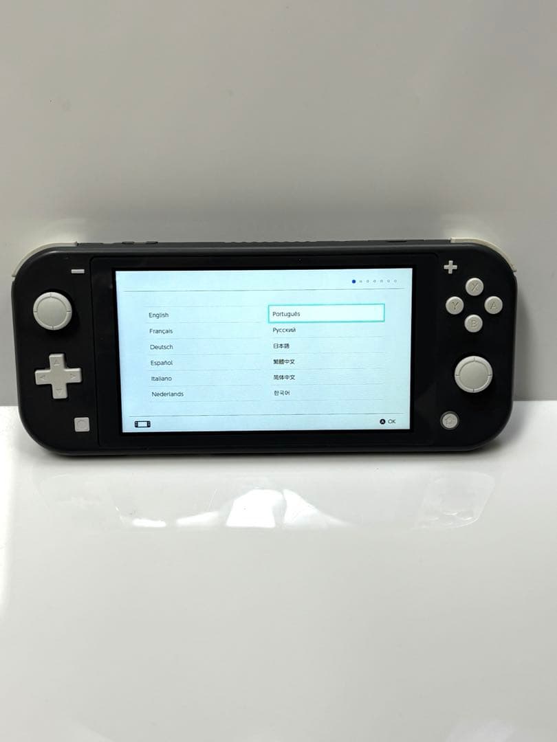 Nintendo Switch Lite グレー 本体・保護フィルム
