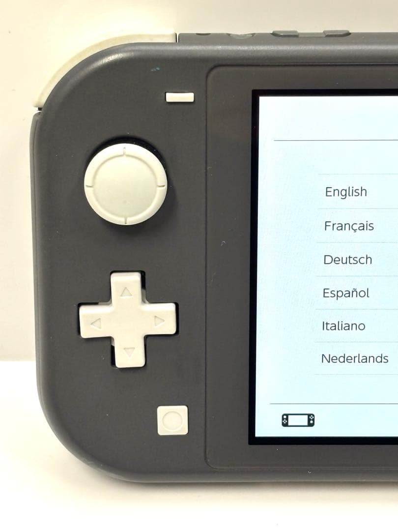 Nintendo Switch Lite グレー 本体・保護フィルム