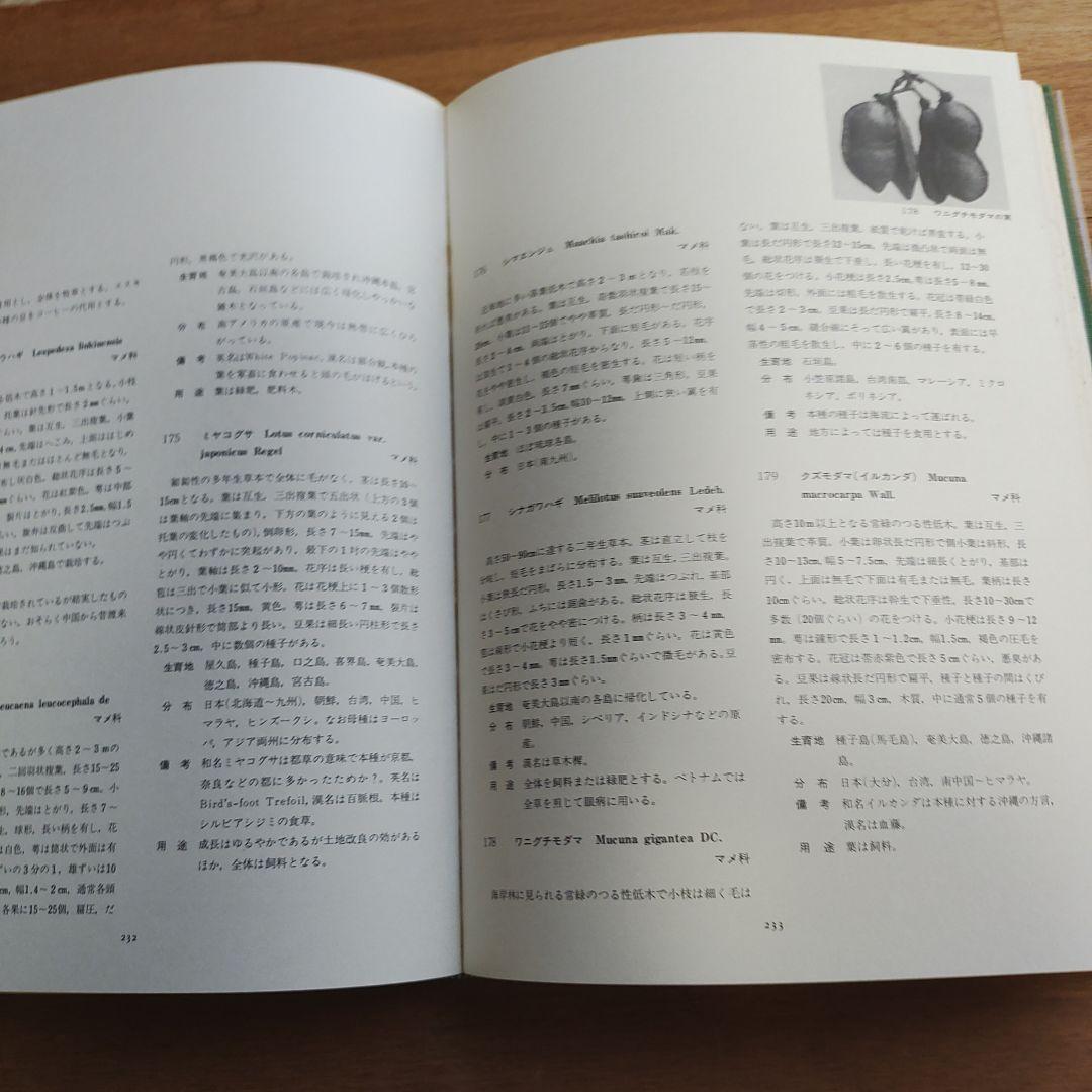 琉球の植物