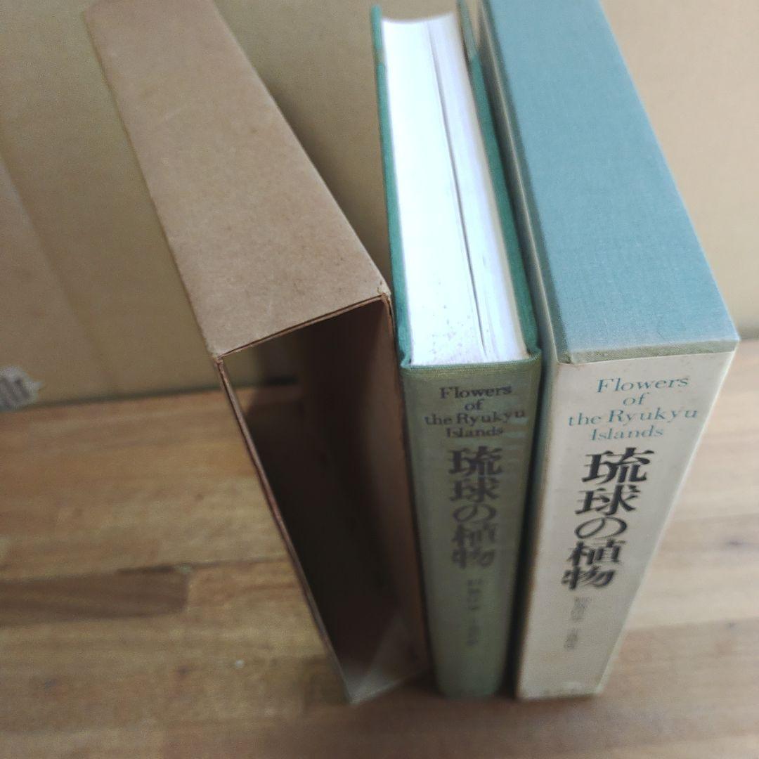 琉球の植物