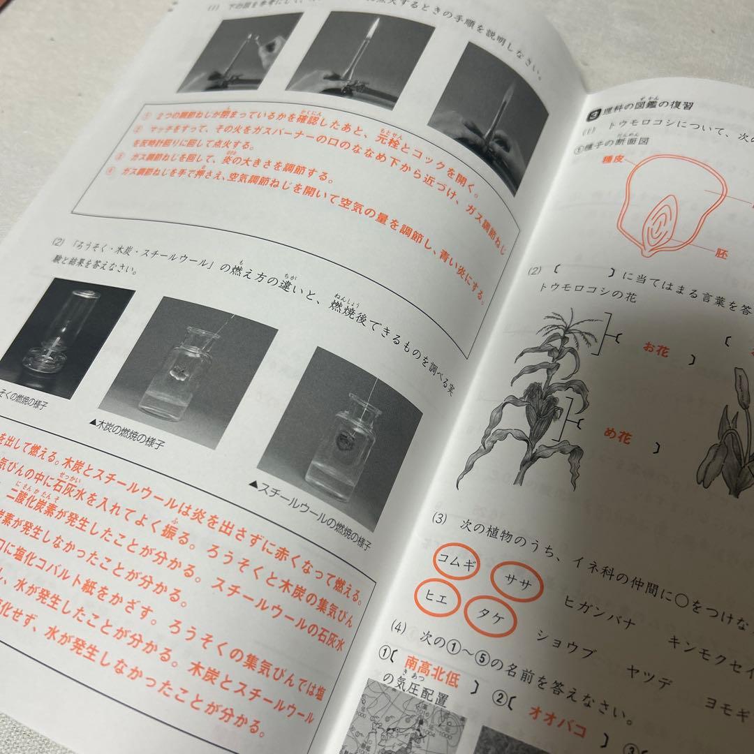 ㉑ＡA レア書き込みなし　サマーサピックス　SAPIX 5年　理科　テキスト