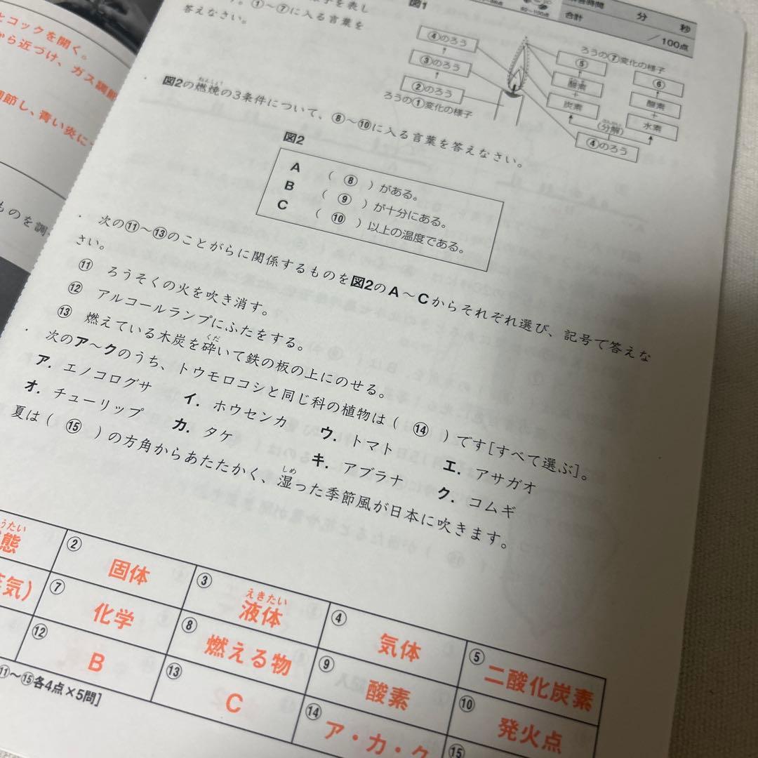 ㉑ＡA レア書き込みなし　サマーサピックス　SAPIX 5年　理科　テキスト