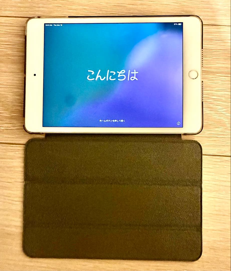 <22日まで値下げ中>iPad mini5 256GB スペースグレイ