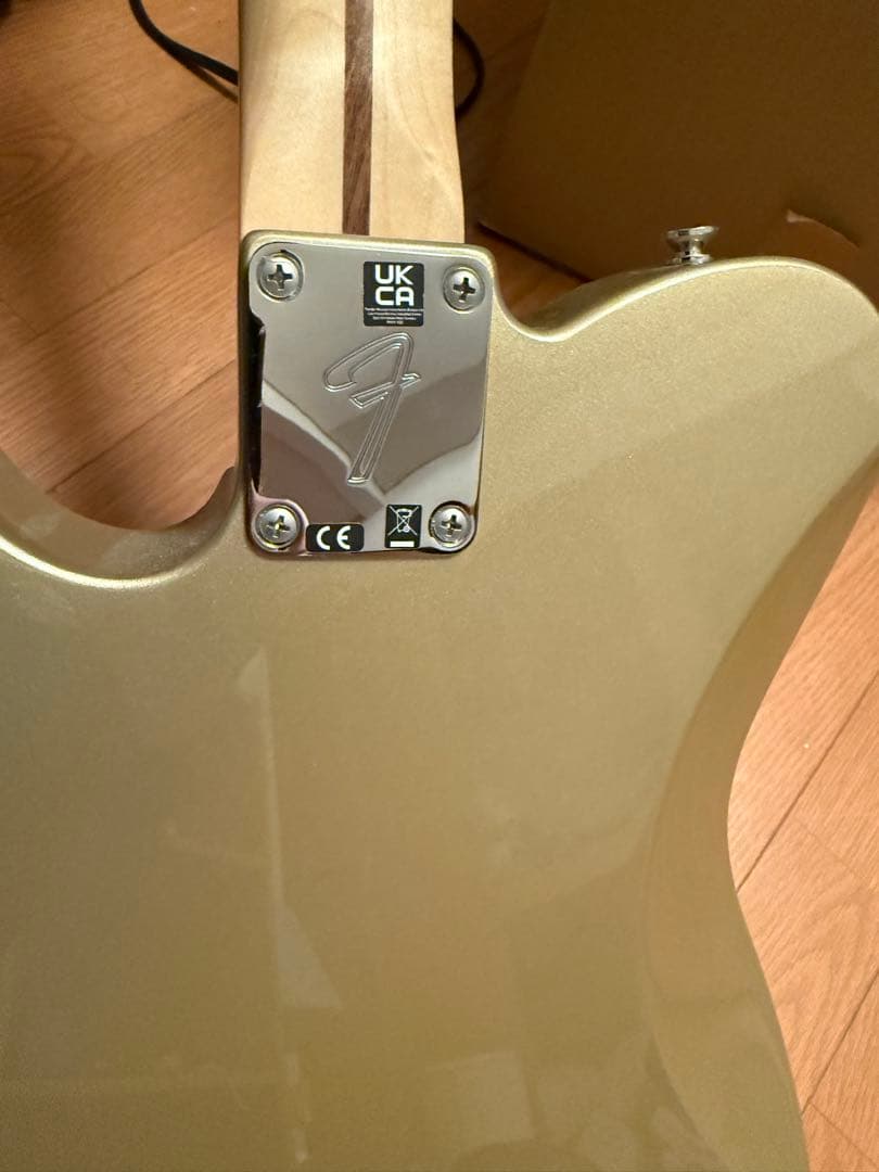 ギター FENDER Chris Shiflett Telecaster Deluxe