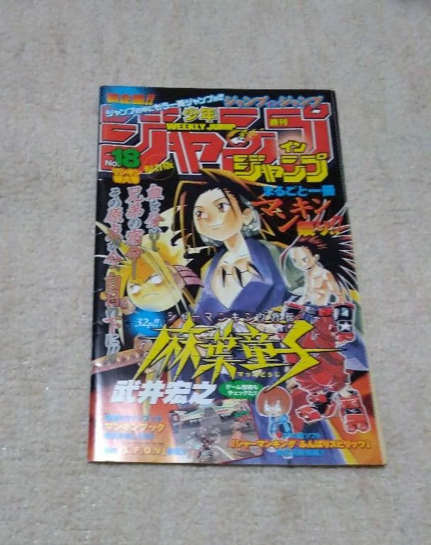 シャーマンキング 完全版1〜27【非全巻セット】フラワーズ 麻葉童子 計29冊