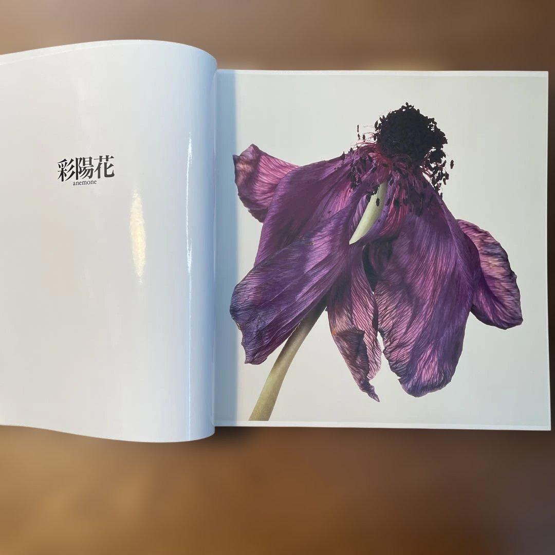 浅井慎平　写真集　花　THE FLOWERS ペン書サイン俳句入り