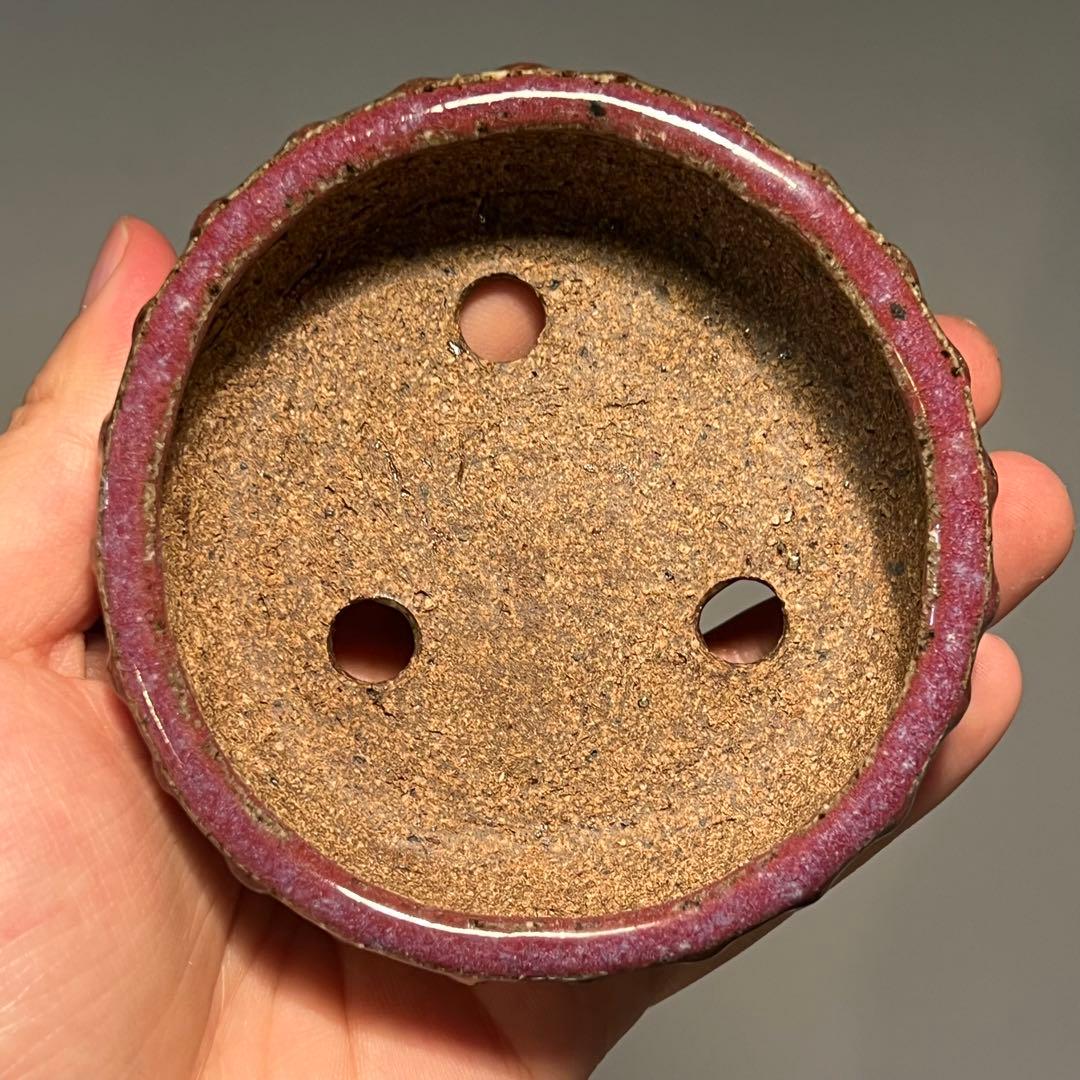 811.秋直 鼓釘丸鉢 盆栽鉢 盆栽鉢 9.3*3.2cm