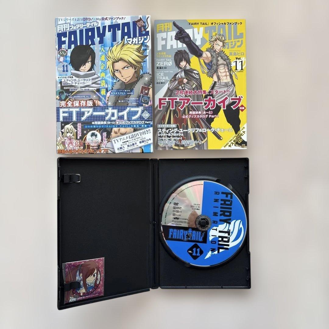 【完結セット・未開封あり】月刊 FAIRY TAILマガジン１３巻 全巻セット