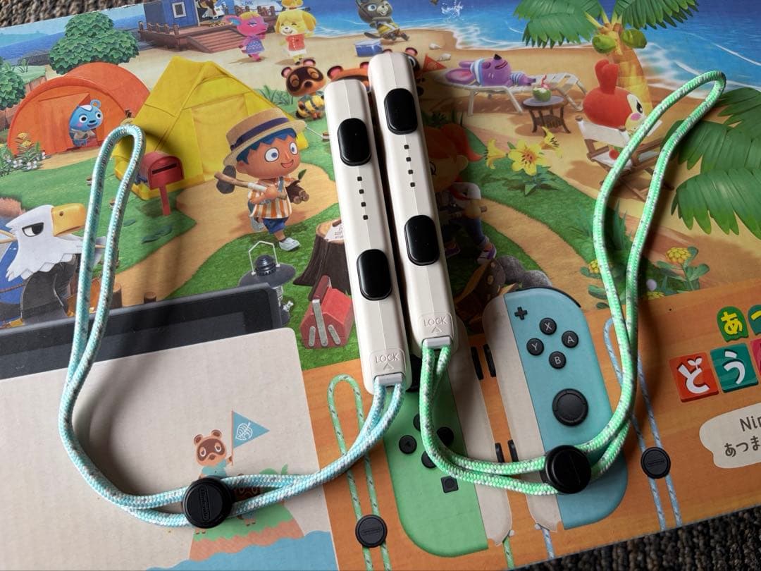 任天堂スイッチ Switch本体 あつまれどうぶつの森セット 専用ケース付き