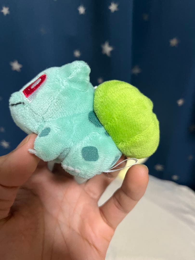 ポケモンセンター限定 ぬいぐるみマスコット 4セット